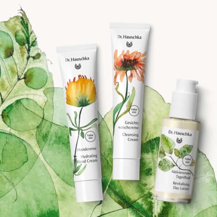 Handcreme, Gesichtswaschcreme und Aktivierendes Tagesfluid von Dr. Hauschka Naturkosmetik vor Aquarell-Blättern