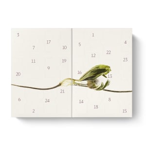 Dr. Hauschka Adventskalender 2026