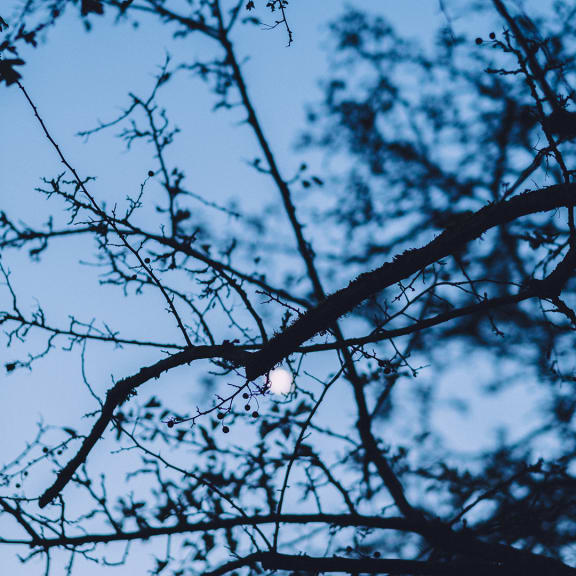 Aufflackern, Licht, Nacht, Silhouette, Beleuchtung