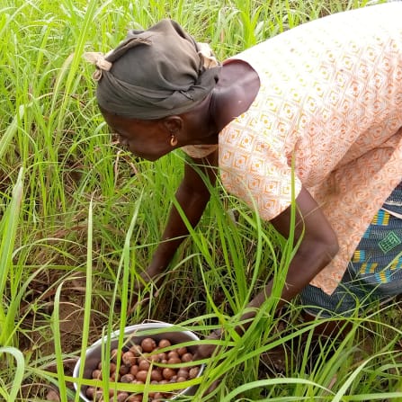 Person, Natur, Draußen