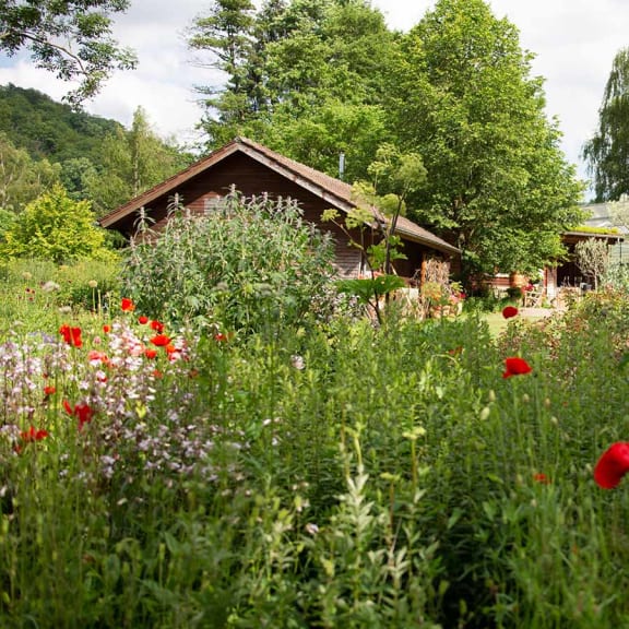 Cottage, Housing, Shelter, Vegetation, Garden