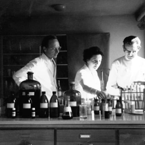 Kneipe, Flasche, Weinflasche, Person, Mann