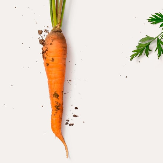Karotte (Daucus carota) mit orangefarbener Wurzel, grünen Blättern und Erdpartikeln
