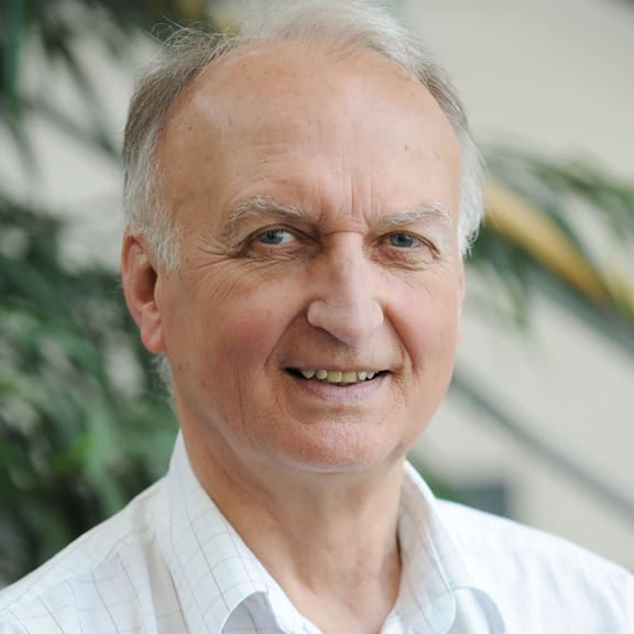 Kopf, Person, Lächeln, Seniorin, Portrait