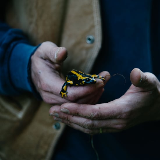 Person hält Feuersalamander, symbolisiert ökologische Verantwortung von Dr. Hauschka Naturkosmetik