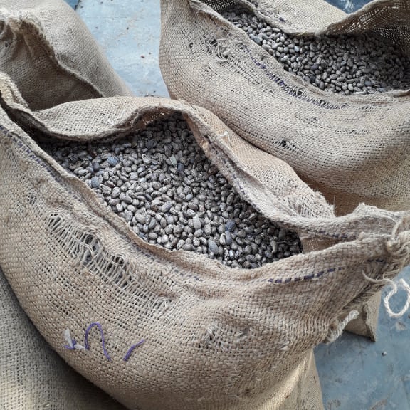 Bag, Clothing, Footwear, Shoe