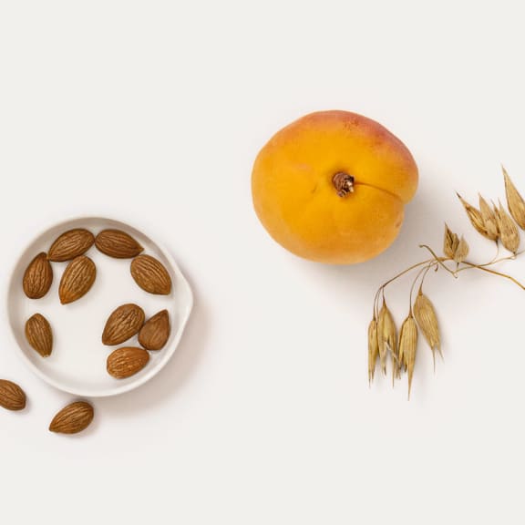 Apricot Day Cream – ingredients