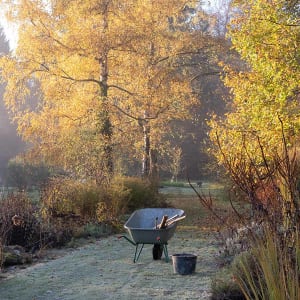 Herbst