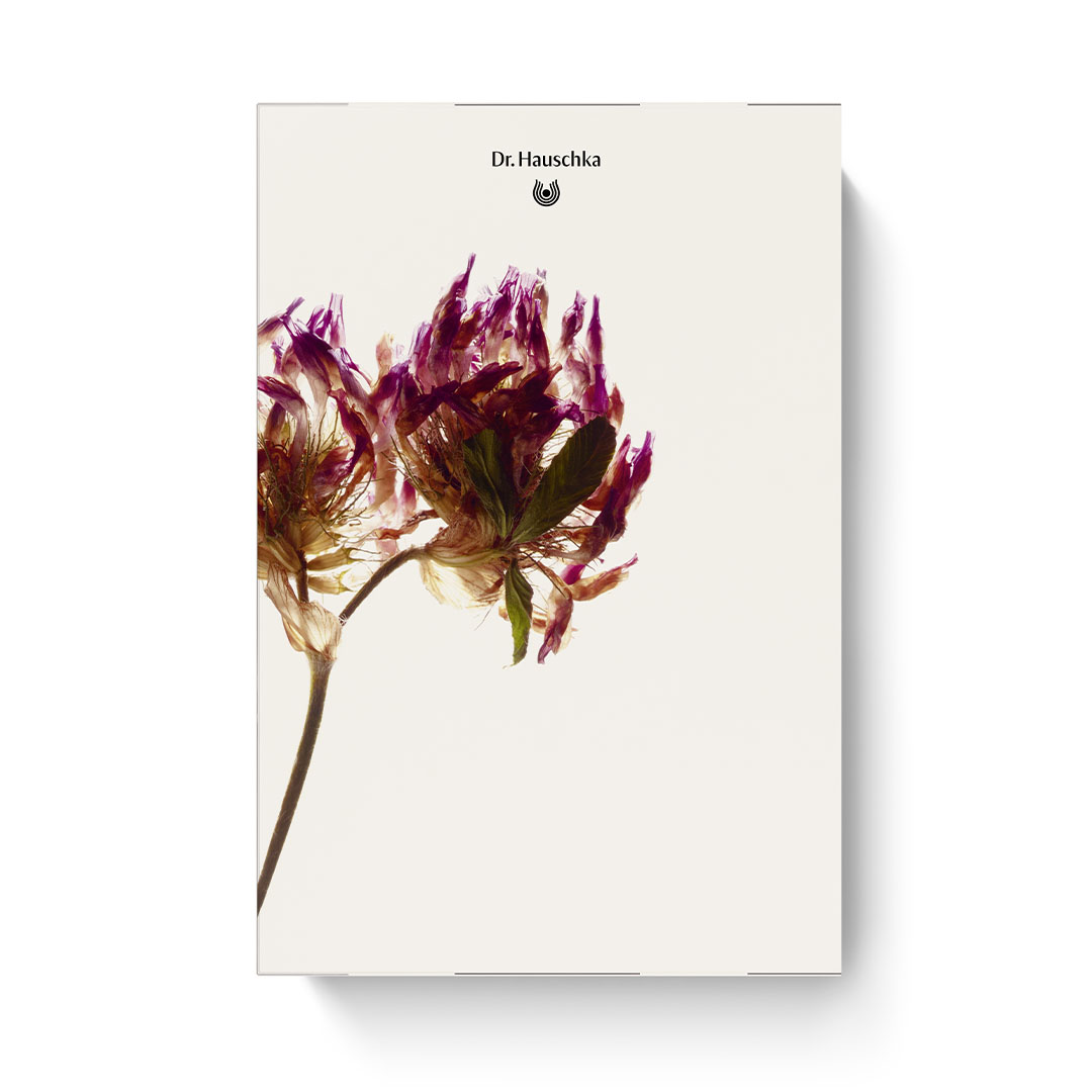 Dr. Hauschka Advent Calendar 2026 Dr. Hauschka Advent Calendar 2026