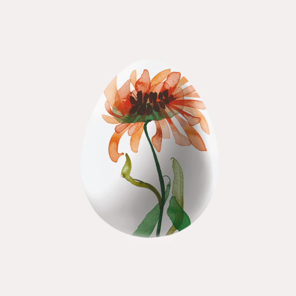 Aquarellblume in Ei‑Form, Symbol für Dr. Hauschka Naturkosmetik
