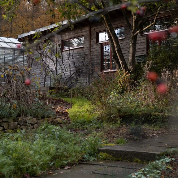 Hütte, Natur, Im Freien, Garten, Unterschlupf