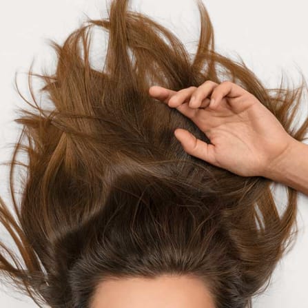 Erwachsener, Weiblich, Person, Frau, Haare