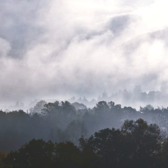 Natur, Draußen, Wetter, Nebel