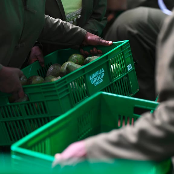 Person, Essen, Obst, Pflanze, Produzieren