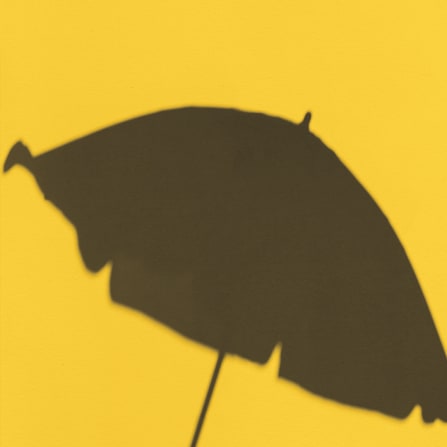 Baldachin, Regenschirm, Blatt, Pflanze, Silhouette