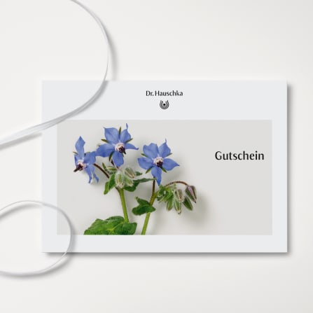 Flower, Geranium, Plant, Leaf, Petal