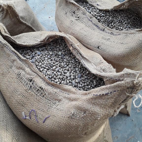 Tasche, Kleidung, Schuhwerk, Schuh