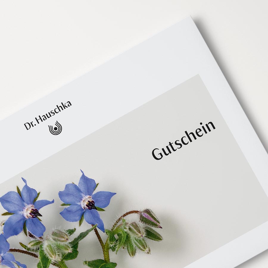 Gutschein von Dr. Hauschka Naturkosmetik mit blauen Borretschblüten