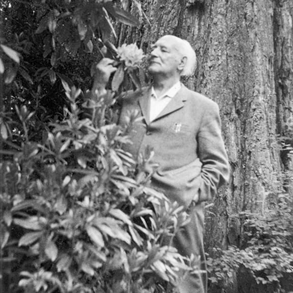 Gesicht, Kopf, Fotografie, Portrait, Bewuchs