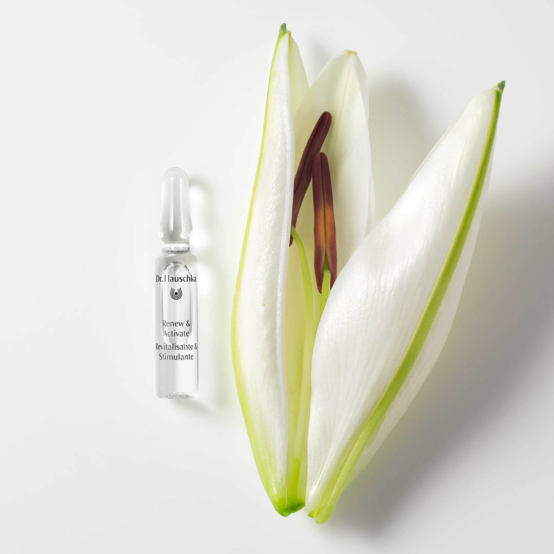 Ampulle Renew & Activate von Dr. Hauschka Naturkosmetik neben weißer Lilie