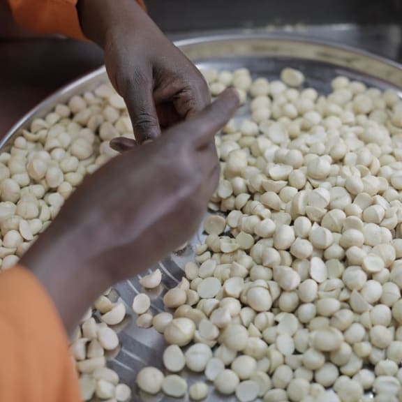 Cooking, Person, Soaking Ingredients