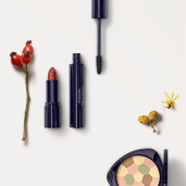 Kosmetik, Lippenstift