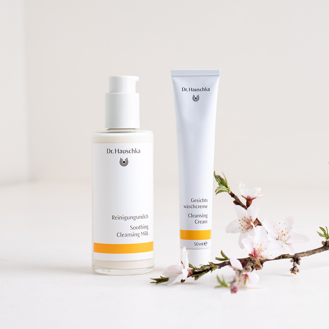 Reinigungsmilch von Dr. Hauschka Naturkosmetik und Gesichtswaschcreme mit Blütenzweig