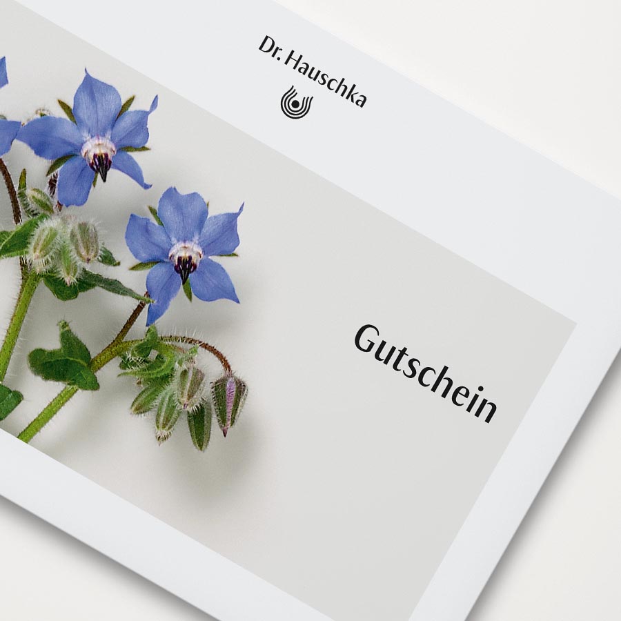Gutschein von Dr. Hauschka Naturkosmetik mit Borretschblüten und Logo