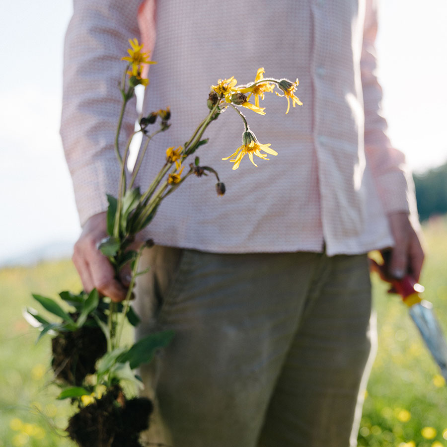 Garten, Gartenarbeit, Gärtner, Topfpflanze, Blumen-Arrangement