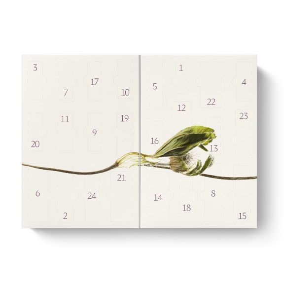 Dr. Hauschka Adventskalender 2026