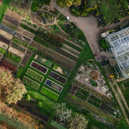 Outdoors, Nature, Countryside, Rural, Garden