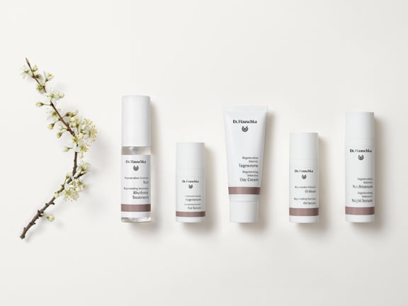 Pflanze, Blume, Flasche