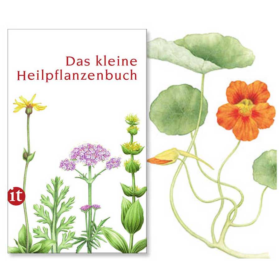 Buchcover 'Das kleine Heilpflanzenbuch' mit botanischen Pflanzenillustrationen
