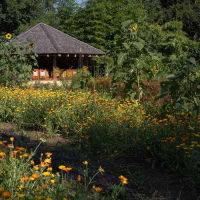 Vegetation, Cottage, Hotel, Resort, Outdoors