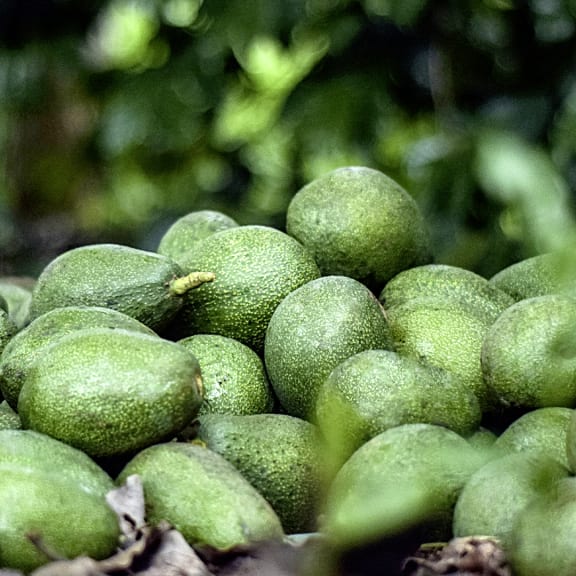 Essen, Obst, Pflanze, Produzieren