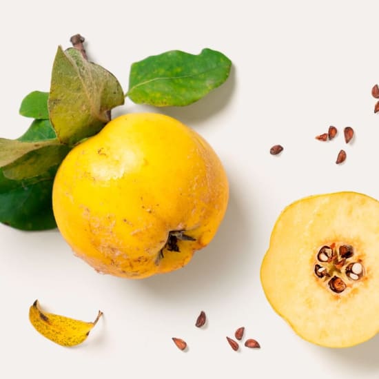 Quitte (Cydonia oblonga) gelbe Frucht mit Blättern und aufgeschnittener Hälfte mit Samen