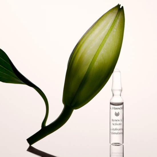 Renew & Activate Ampulle von Dr. Hauschka Naturkosmetik neben grüner Blütenknospe