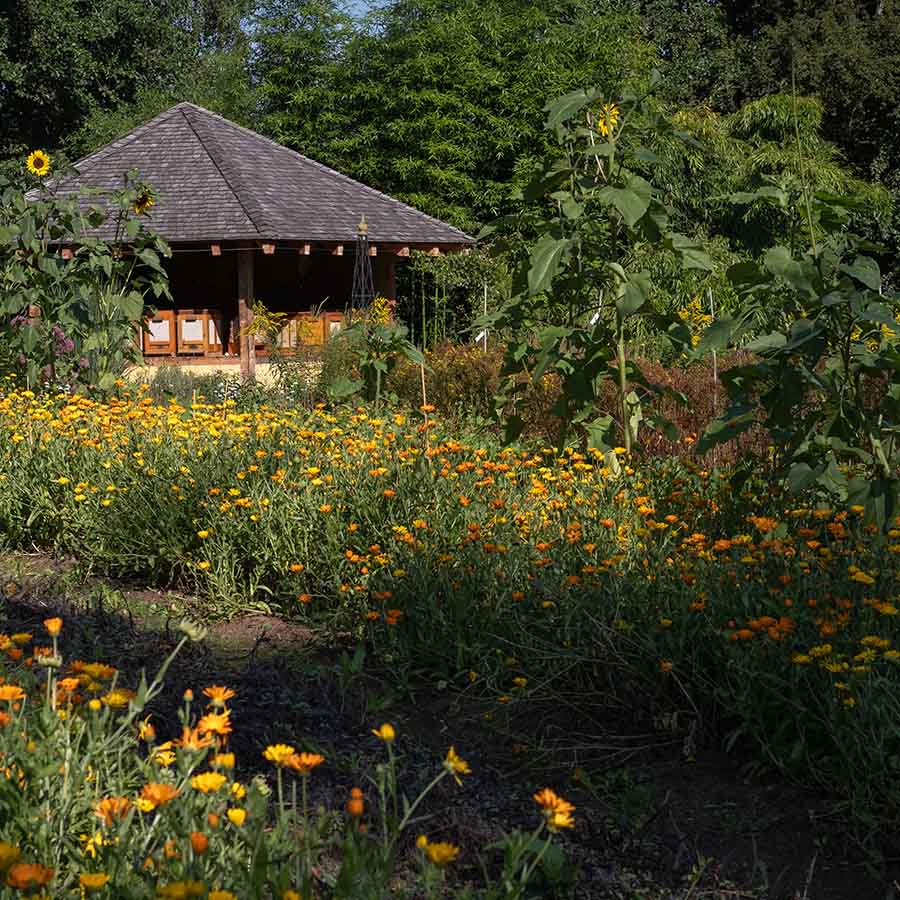 Vegetation, Cottage, Hotel, Resort, Outdoors