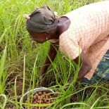 Person, Natur, Draußen