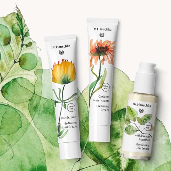 Handcreme, Gesichtswaschcreme und Aktivierendes Tagesfluid von Dr. Hauschka Naturkosmetik vor Aquarell-Blättern