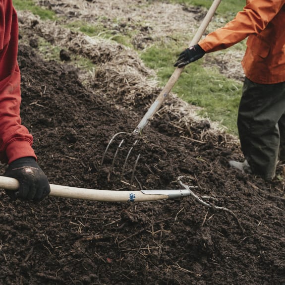 Boden, Garten, Draußen, Gartenarbeit, Handschuh