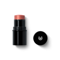 Lip to Cheek – Blush Stick