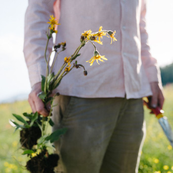 Guided tour of the medicinal herb garden. Lecture on wild harvesting: managing the full power of plants