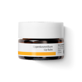 Soothes and regenerates: Dr. Hauschka Lip Balm