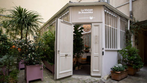Dr. Hauschka Estheticians addresses Dr. Hauschka Estheticians addresses