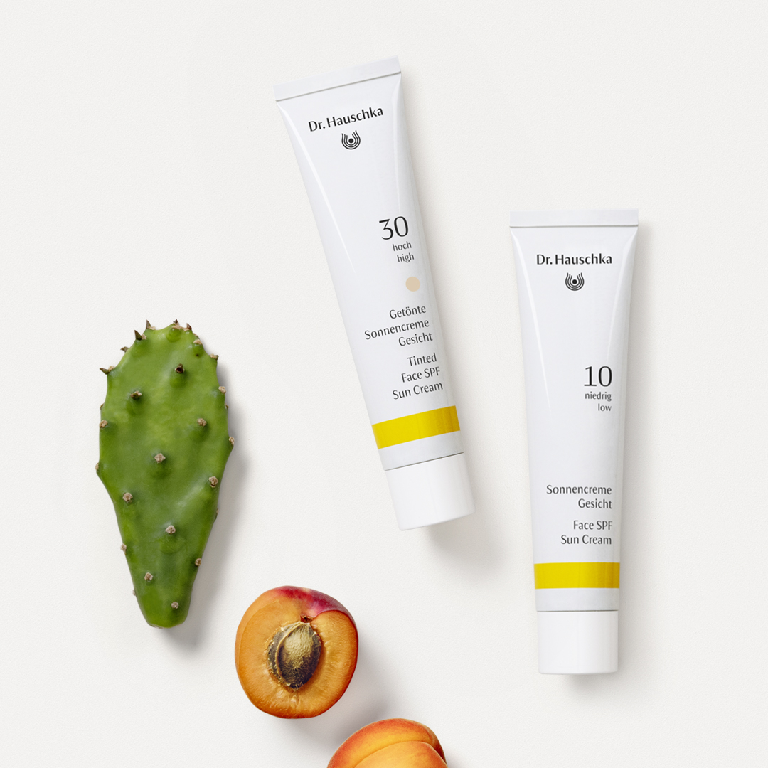 Bestuiver Goedaardig indruk Natural Skin Care for Face and Body | Dr. Hauschka