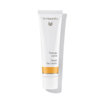 Tinted Day Cream - Dr. Hauschka Tinted Day Cream - natural cosmetics
